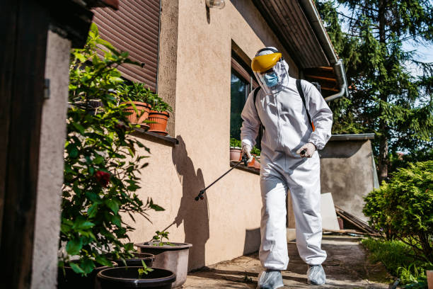 Best Wasp Removal Services  in Ormond By The Sea, FL