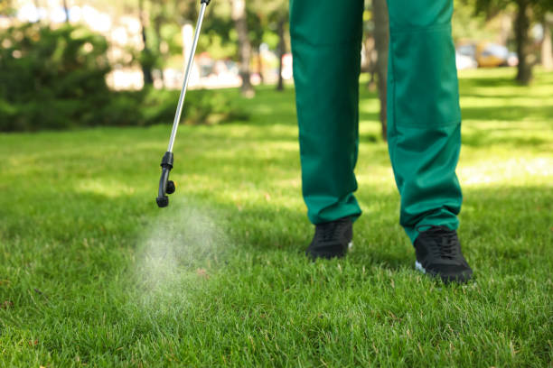 Best Pest Prevention Services  in Ormond By The Sea, FL