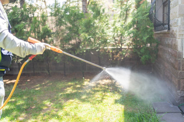 Best Mosquito Control Services  in Ormond By The Sea, FL