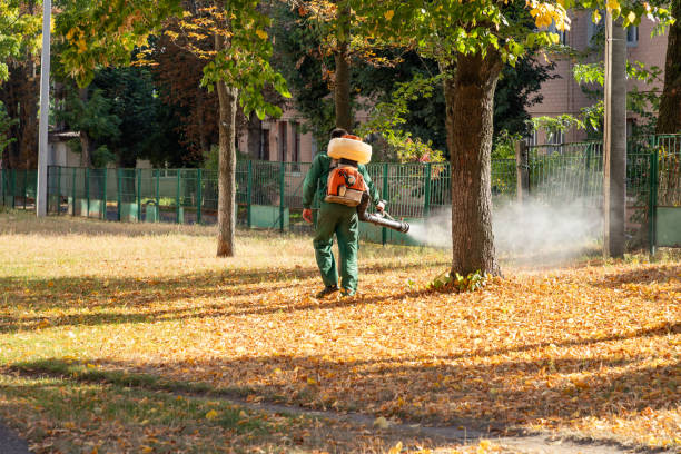 Ormond By The Sea, FL Pest Control Company