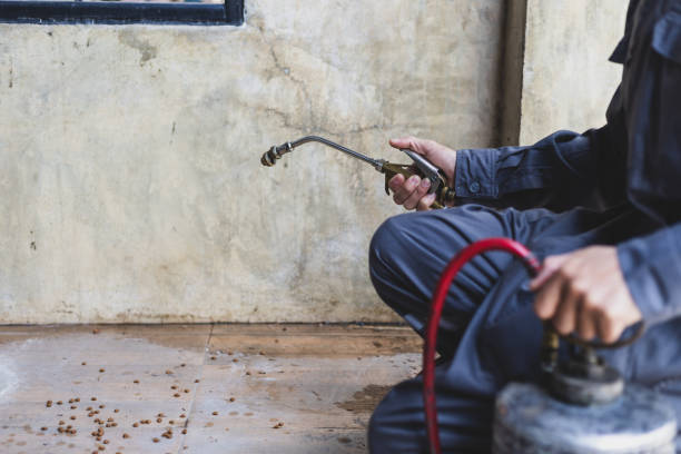 Best Affordable Pest Control Services  in Ormond By The Sea, FL