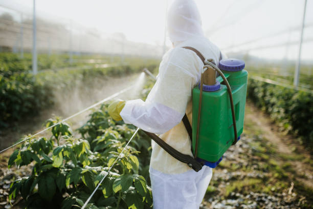 Best Emergency Pest Control  in Ormond By The Sea, FL